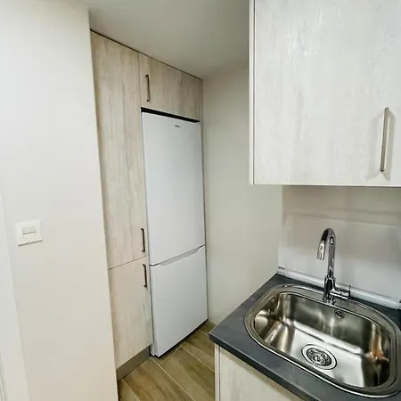 Palacio De Larrinaga Apartment *